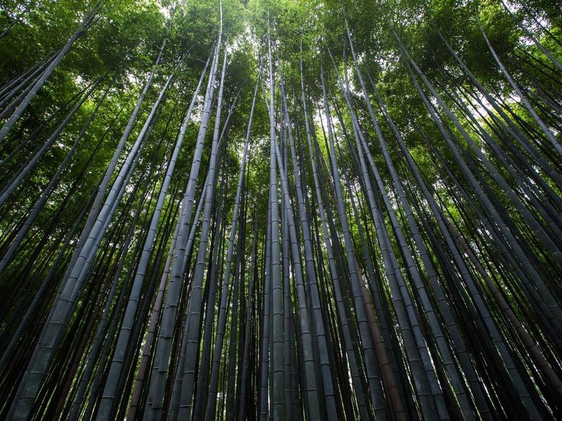 彩票兑奖流程详解：从验票到领奖的完整步骤与时效规定